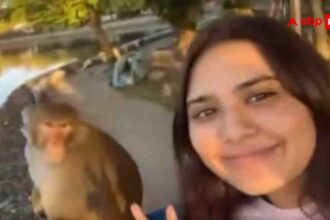 4219b66b437e81c4abe728ac1787c5b617688849058361120 original.jpg