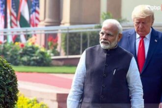 E5167bb0478380e9a8d0b95aeda2e58017689652810641160 original.jpg