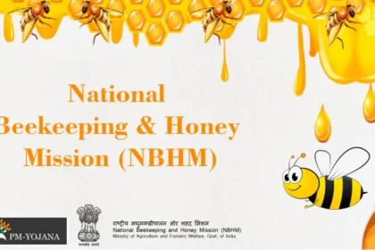 Image 750x 62207a8688357.webp.webp