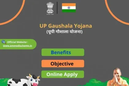 Image 750x 62dbdab6aa09d.webp.webp