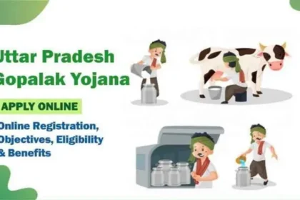 Image 750x 62de1f6f2f5fc.webp.webp