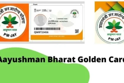 Image 750x 62e51f2441c49.webp.webp