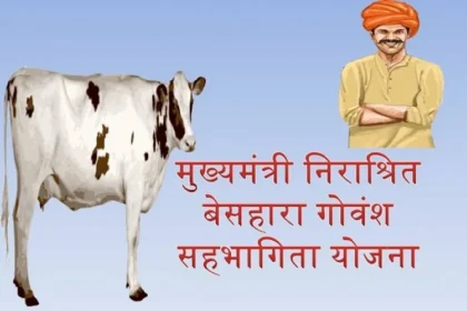 Image 750x 6520ecc963339.webp.webp