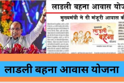 Image 870x 652e19500157b.jpg