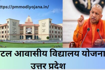 Image 870x 653238c27c8fb.jpg