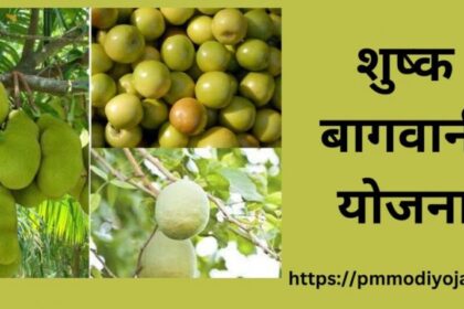 Image 870x 65324273dcb20.jpg