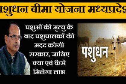 Image 870x 6540b7772a2ce.jpg