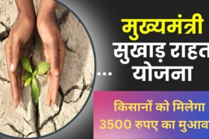 Image 870x 6540c04c8b9d1.jpg