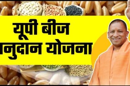 Image 870x 6549e6fef0319.jpg