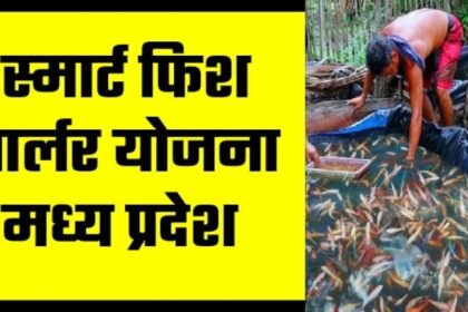 Image 870x 654b205b0e582.jpg