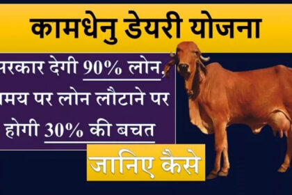 Image 870x 6576c5456faa5.jpg