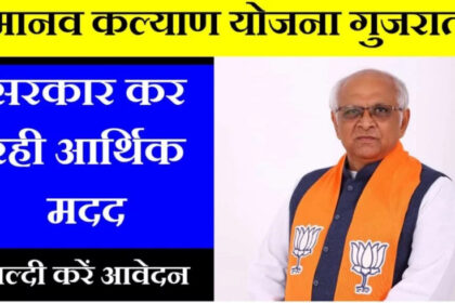 Image 870x 657efd5d3b2d2.jpg