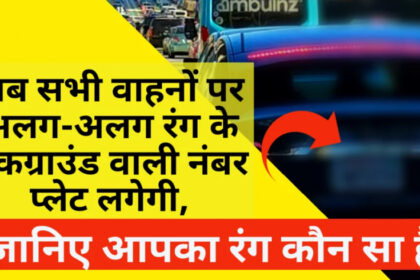 Image 870x 6583f0f627d55.jpg