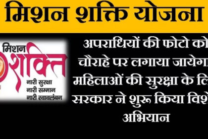 Image 870x 658bb3acd7338.jpg