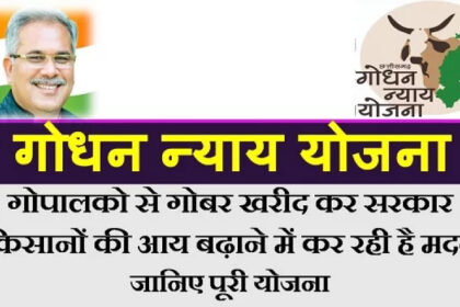 Image 870x 6593aacf29d14.jpg