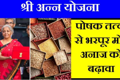 Image 870x 659bb4f38aac3.jpg