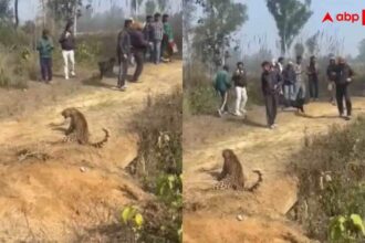 00d174bab062324c8950b0394c06d8cd17709890831801120 original.jpg