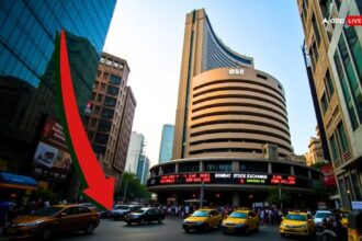 30e3c6caeeef80aa27228c6928caf82317721647416561315 original.jpeg