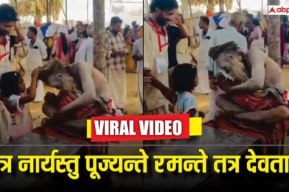 5afe5c19517df664c287b6e578860b1d1770357032971466 original.jpeg