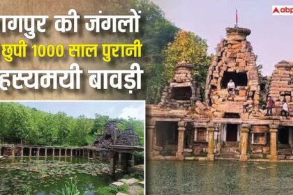 968808e38fc5cd5320fea0938a0004d517703601596931092 original.jpeg