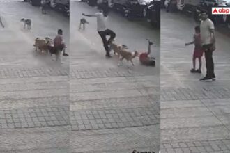 9de6051a220a0aa2e7d826dac1cd03a917716672554981241 original.jpg