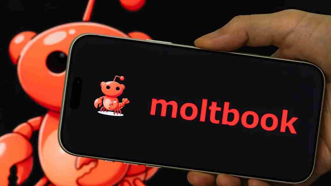 A07a2f974edb2e108d83d7bd0d151d5917700900205451071 original.jpg