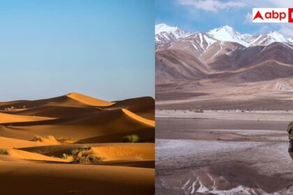 04a196fd5273b86f48be778f915ef99e17728856879001094 original.jpg