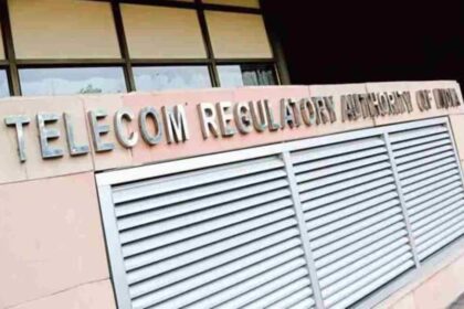 14c701113cae6197c350d5c1f7e275381772610706236130 original.jpeg