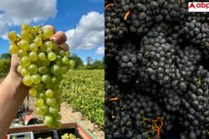 22ae85a6adfa41a27aa35063b946475b17729413899971257 original.jpg