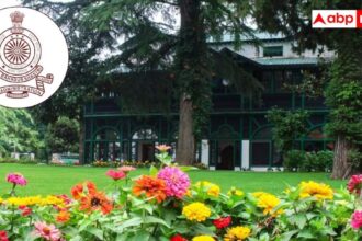 3068b489fb97028b913ae7b40048be6017727960579401094 original.jpg