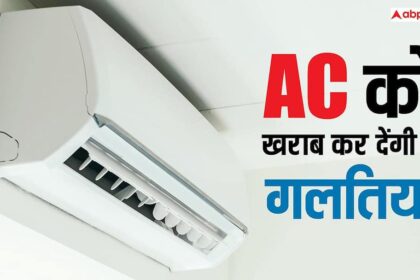 56355d8bd47af50d48656c1ba0b25c6317731213660501164 original.jpeg