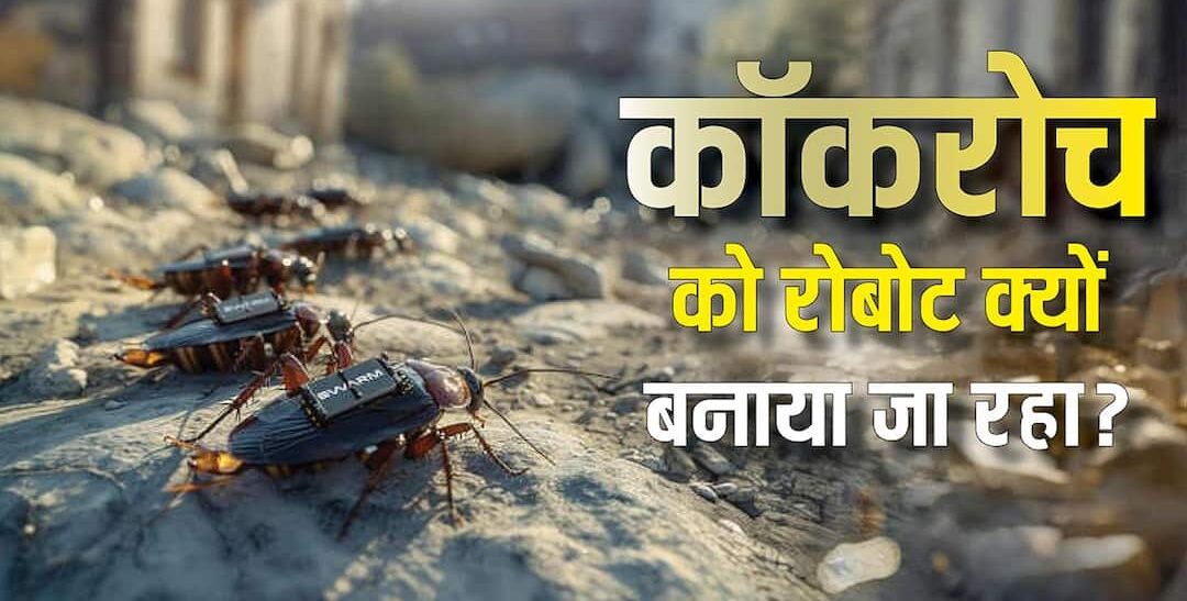 67839b6f989bdfe170fbc1a25836c21317737252756391164 original.jpeg