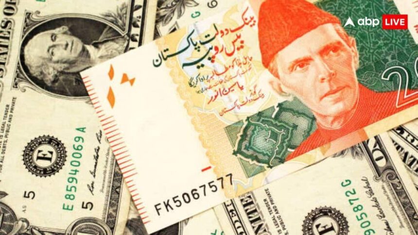 C413e5b56edb1ffdab9f5fa792be116917730285485761379 original.jpg