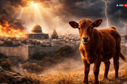 E4ba9bab4bacd9631dd78a08512d068617727663623961092 original.png