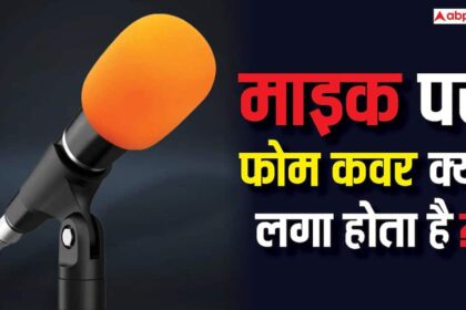 E73621c4804dc13b6fcf1eaef67870ce17726936552801164 original.jpeg